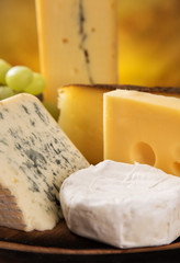 Various types of cheese