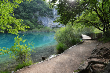 Walkway in Plitvice Lakes National Park, Croatia