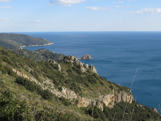 panorama