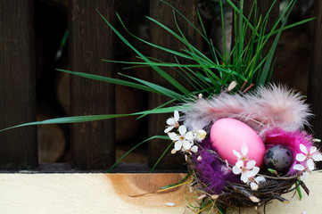 Easter Nest Decoration on Wood Background