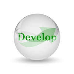 Develop icon