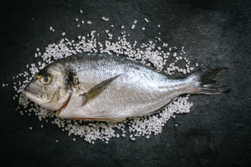 Gilthead fish on salt