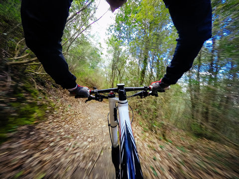 Young Man On Mountain Bike. POV, Original Point Of View