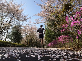 Man running on path lined with flowers