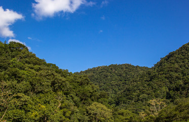Fototapeta na wymiar Colinas e floresta