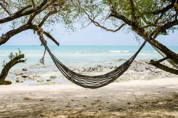 hammock and sea beach
