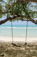 swing on beach