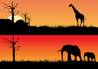 Fototapeta na wymiar Africa sunset and animals
