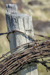 Wood fence with a roll of barbed wire