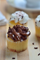 Homemade Gourmet Chocolate and Vanilla Cupcakes