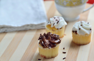 Homemade Gourmet Chocolate and Vanilla Cupcakes