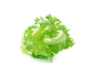 lettuce on white background