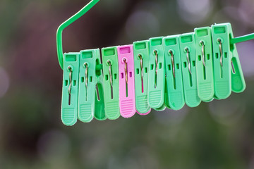 Green and pink cloth pegs