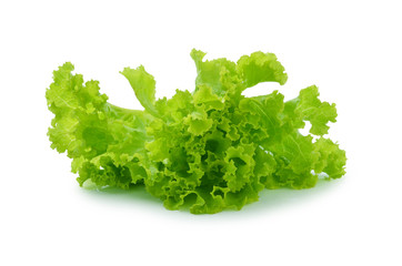 lettuce on white background