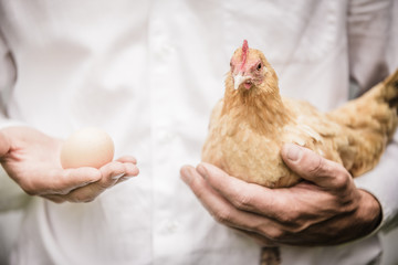 Paradox of the Chicken and the Egg