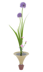 Fototapeta na wymiar Flower pot with white wall
