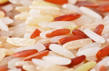 Rice brown isolated on background