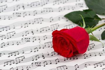 roses and music sheets - selective focus