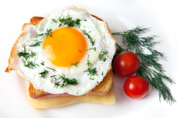 sandwich 