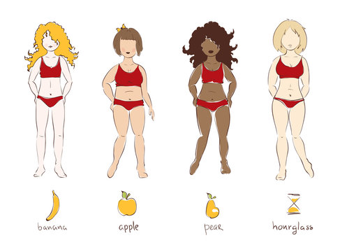 Illustration - female types of figures