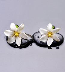 two gardenia with therapy stones 