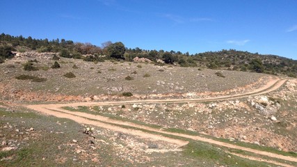 Camino