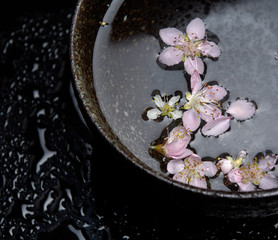 Obraz na płótnie Canvas pink cherry in bowl water on wet 