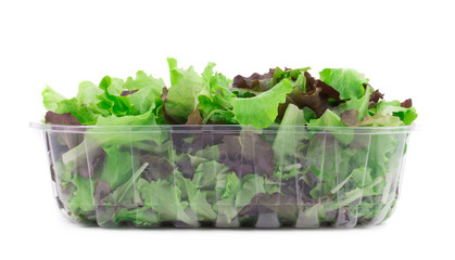 Green and red leaf of lettuce in box.