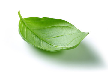 Basil