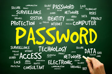 PASSWORD word cloud, business concept