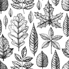 Fototapeta premium Seamless pattern with a leaves drawing