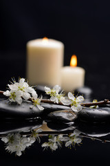 Obraz na płótnie Canvas cherry blossom with white candle on black stones