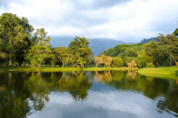 Fototapeta premium Taiping lake garden at sunset, Taiping, Malaysia - calm waters at the Taiping Lake Gardens