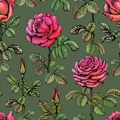 Seamless pattern with rose illustrations