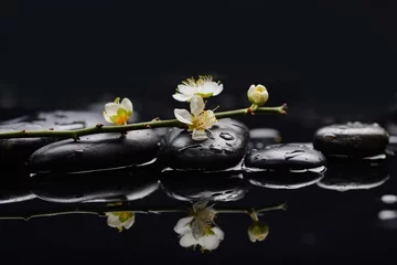 Foto op Plexiglas  branch cherry blossom with therapy stones © Mee Ting
