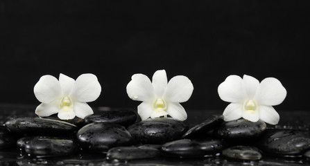 Obraz na płótnie Canvas White three orchid with therapy stones 