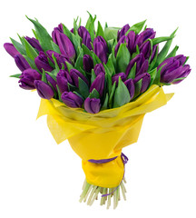 Bouquet of tulips