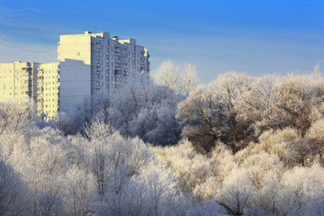 Trees with hoarfrost at winter and apartment house
