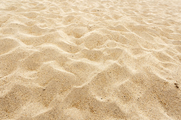 sand desert view