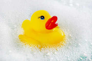 Rubber duck in foam close-up