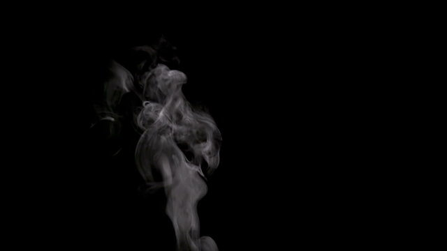 Steam Rises From the Cup