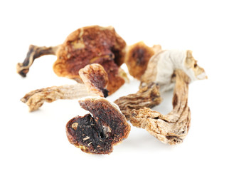 Dried mushrooms isolated on white