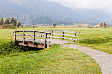 Tranquil countryside