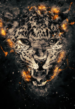 Leopard in fire