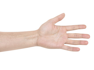 man's arm white background