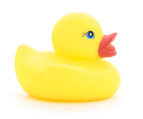 Rubber duck.