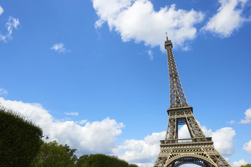 Fototapeta premium Eiffel Tower