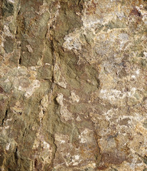 Stone