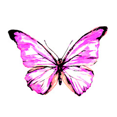butterflies design