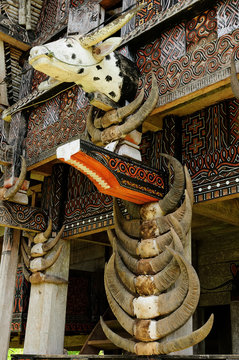 Facade of the traditional house of the region Tana Toraja